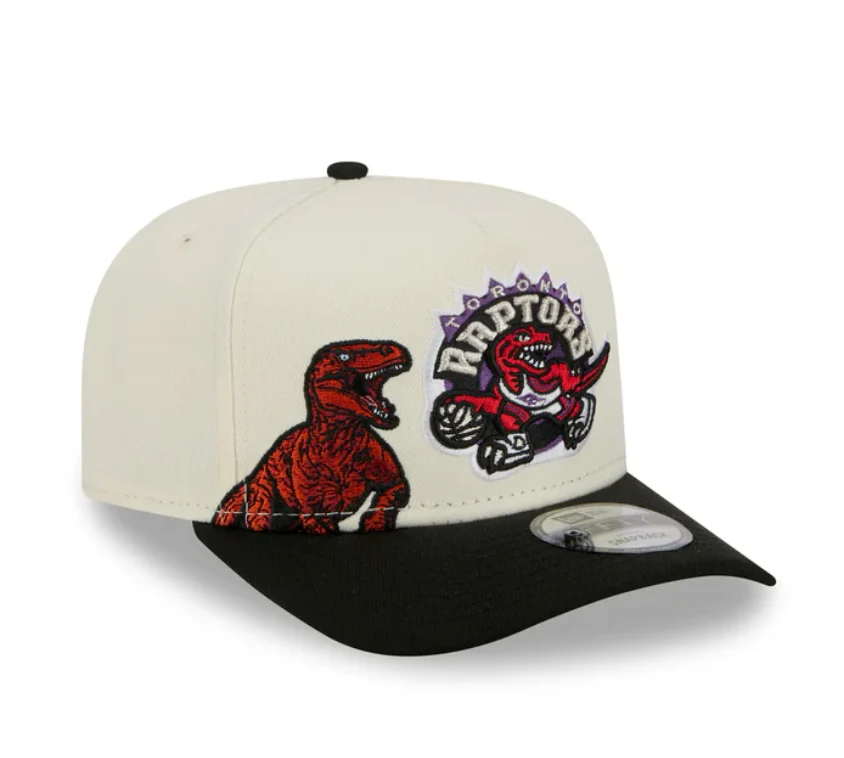Toronto Raptors HWC Chrome White 9FIFTY A-Frame Snapback